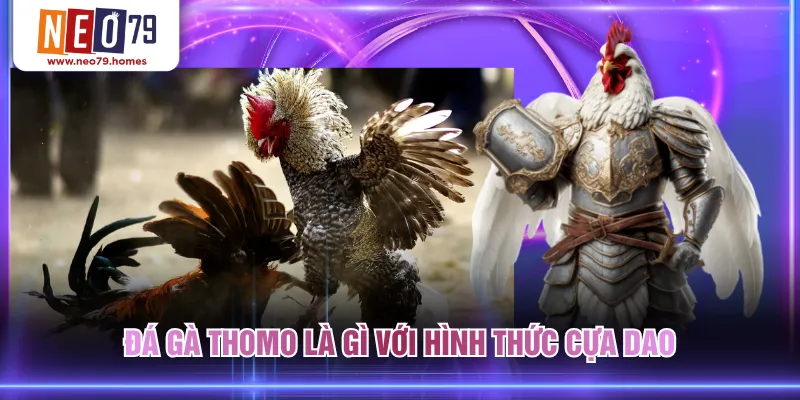 Đá gà Thomo là gì với hình thức cựa dao
