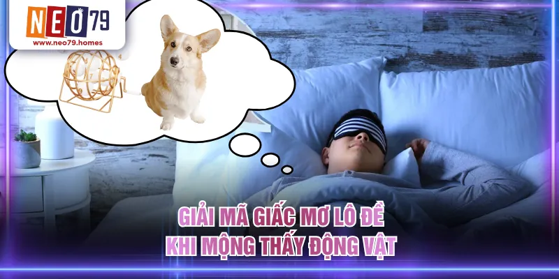 Giải mã giấc mơ lô đề khi mộng thấy động vật