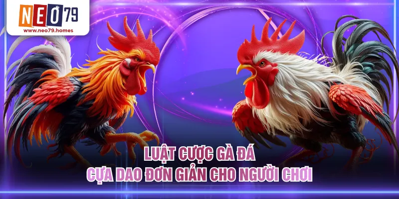 Luật cược gà đá cựa dao đơn giản cho người chơi