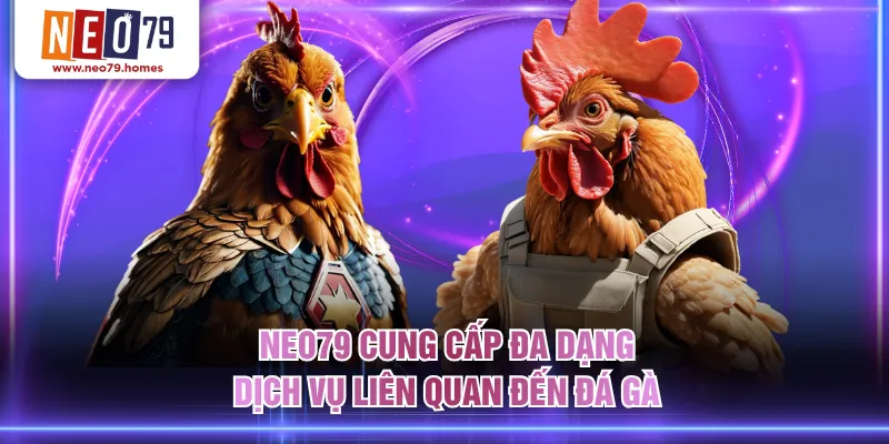 NEO79 cung cấp đa dạng dịch vụ liên quan đến đá gà